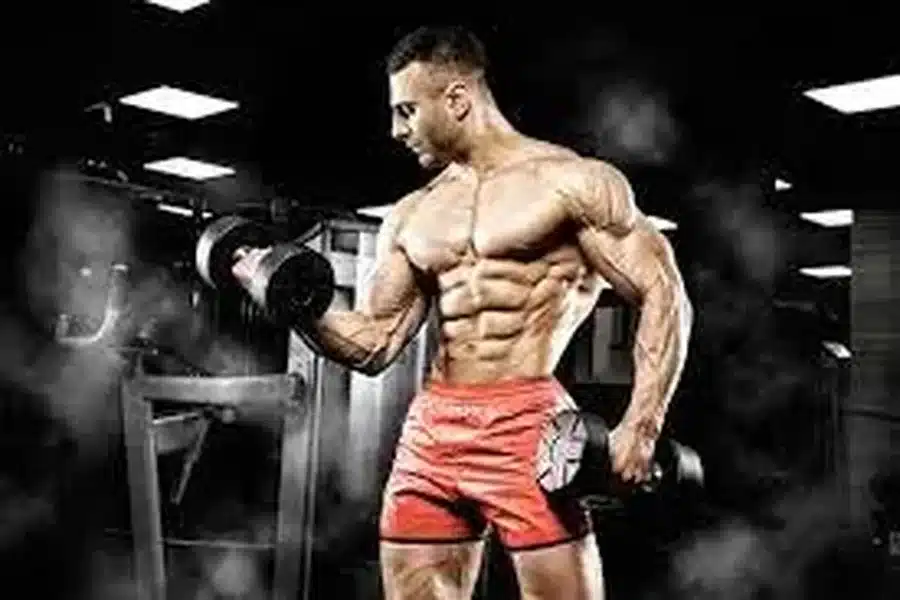 Steroid Cycles