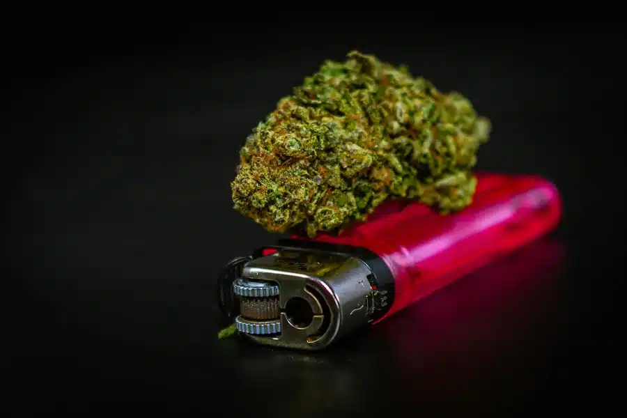 A Terpene Profile That Stays Noticeable Throughout