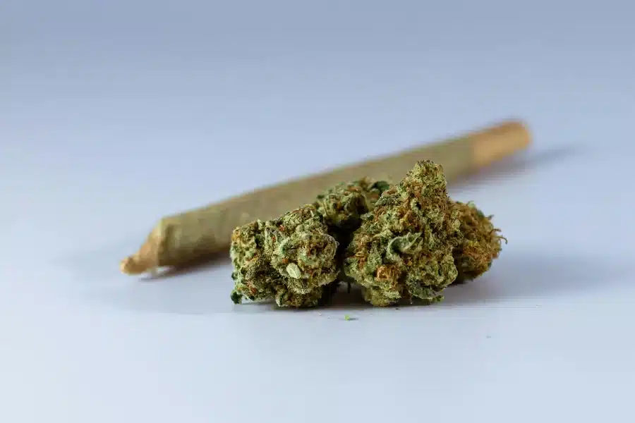 Sativa Profile Designed for Active, Daytime Sessions