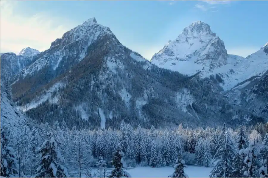 Winter Sports
