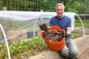 Best Ways to Choose and Use Mulch for a Healthy Garden
